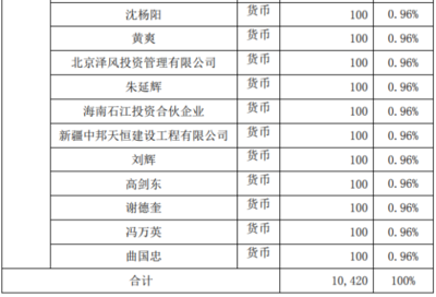 自有资金对外投资 策略、优势与风险管控