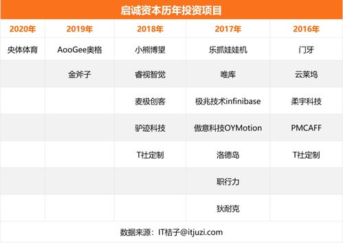 自有资金对外投资 策略、优势与风险管控